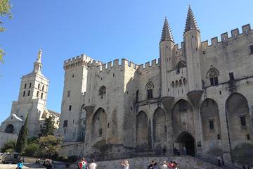 Marseille Shore Excursion: Private Tour of Avignon and Chateauneuf du Pape Wineries