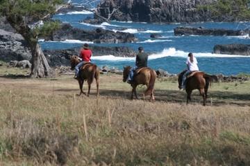 Maui Horseback-Riding Tour with Optional BBQ Lunch