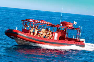 Maui Whale-Watching Tour by Raft