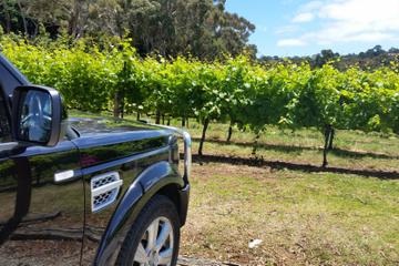 Melbourne Shore Excursion: Small-Group Yarra Valley Wine Tasting Day Trip