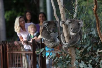 Melbourne Zoo General Entry Ticket