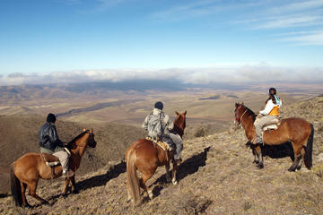 Mendoza Horseback Riding Tour with Traditional Argentine Asado
