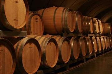 Mendoza Wine Tour with Lunch