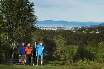 Mid-Norway Nature Tour from Trondheim