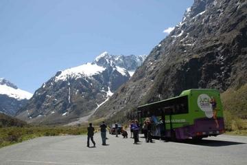 Milford Sound Cruise and Optional Coach Tour