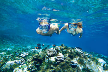 Molokini And Turtle Arches Snorkeling Trip