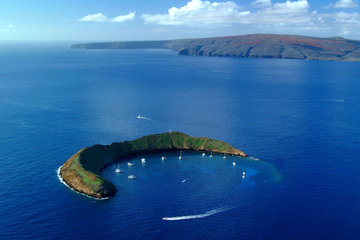 Molokini Snorkeling Adventure