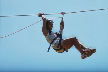 Monkey Jungle and Zipline Adventure from Puerto Plata