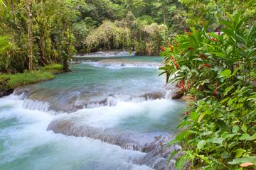Montego Bay Shore Excursion: Dunn's River Falls
