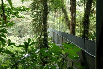 Monteverde Cloud Forest and Butterfly Garden from Guanacaste