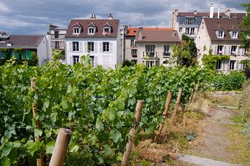 Montmartre Tour with VIP Clos Montmartre Vineyard Visit