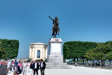 Montpellier Walking Tour: Medicine and University City