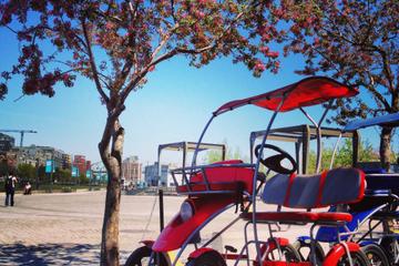 Montreal Quadricycle Rental
