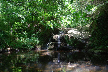 Montseny Guided Hiking Tour with Eco-friendly Lunch from Barcelona