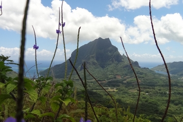 Moorea Three Coconuts Trail Guided Hike