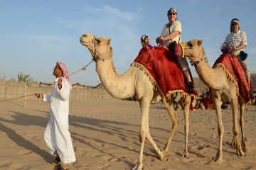 Morning Camel Trekking Safari from Dubai