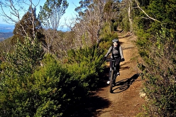 Mountain Bike Tour from Hobart