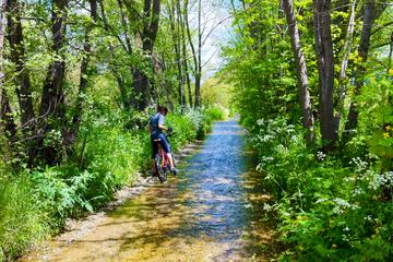 Mountain Bike Tour Puigcerdà