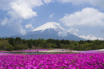 Mt Fuji Day Trip with Heritage Walking Tour from Tokyo