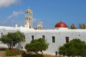 Mykonos Shore Excursion: Private Tour of Little Venice, Kalafati Beach and Panagia Tourliani Monastery