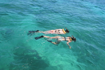Nassau Reef Snorkeling Adventure