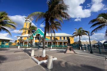 Nassau Shore Excursion: Island Highlights Sightseeing Tour