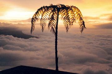 Natural Park Chicaque from Bogotá