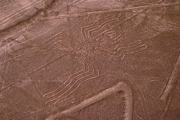 Nazca Lines Air Tour and Ballestas Islands Full-Day Trip from Lima
