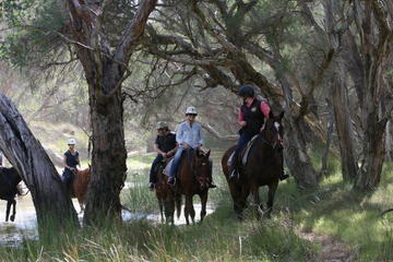 Neergabby Horse Riding Tour