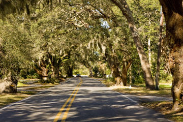 New Orleans Food Walking Tour on Oak Street