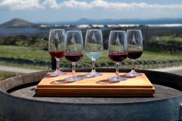 Niagara Falls Wine Tour with Cheese Pairings