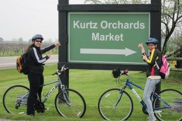 Niagara-on-the-Lake Cycle and Wine-Tasting Tour with Optional Picnic Lunch