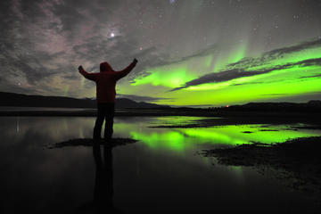 Nightly Aurora Photo Tour in Abisko National Park