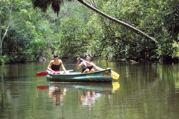 Noosa Everglades Canoe Trip with Barbecue Lunch