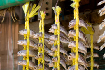 Noryangjin Fish Market Tour including Seafood Lunch