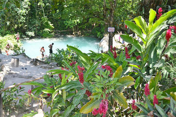 Ocho Rios Blue Hole Tour Plus Shopping
