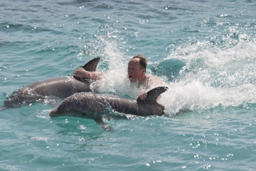 Ocho Rios Combo Tour: Dolphin Cove and Negril Sunset Cruise