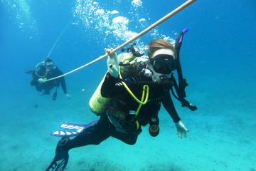 Open Water Scuba Certification