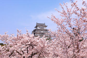 Osaka Full-Day Walking Tour with Osaka River Cruise