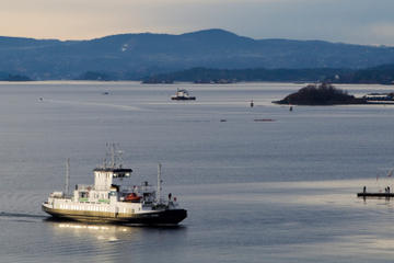 Oslo Shore Excursion: Oslo Fjord Sightseeing Cruise