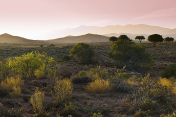 Oudtshoorn, Cango Caves and Little Karoo Day Trip from Knysna