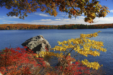 Overnight Fall Foliage Tour from New York City
