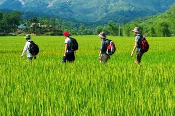 Overnight Mai Chau Pu Luong Trekking Tour