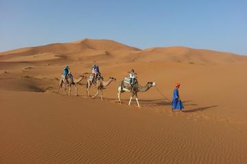 Overnight Small-Group Desert Tour from Fez with Camel Ride and Desert Camp