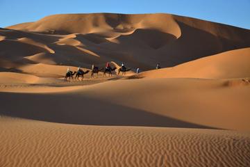 Overnight Tour from Marrakech to Zagora Including Desert Camp and Camel Trek