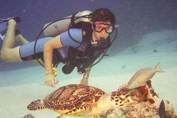 PADI Certified Scuba Diving in Cozumel