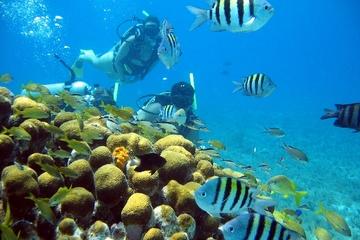 PADI Discover Scuba Diving Course in Cozumel