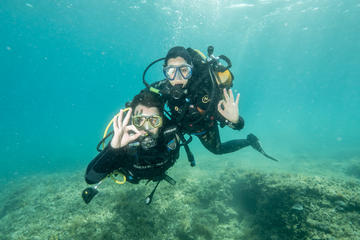 PADI Learn to Dive Course