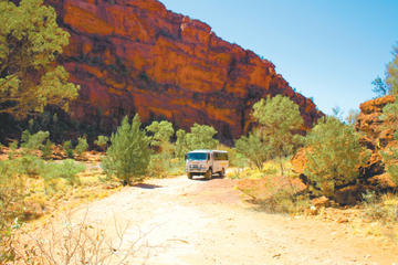 Palm Valley 4WD Tour from Alice Springs