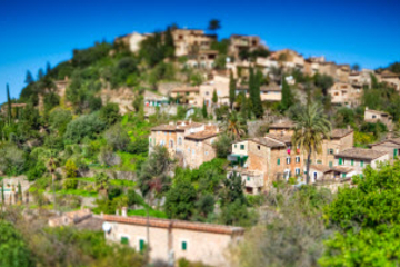 Palma de Mallorca Shore Excursion: Private Tour of Valldemossa, Soller and Serra de Tramuntana